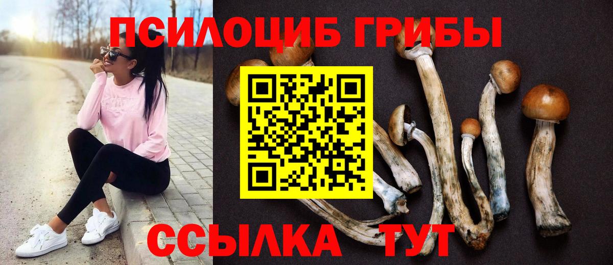 Дмитров  Галлюциногенные грибы мицелий  Вход с VPN 