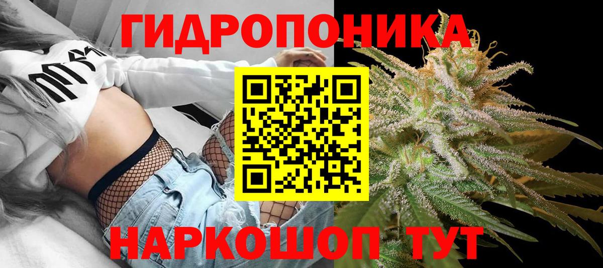 Марихуана OG Kush Дмитров
